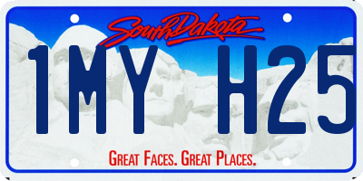 SD license plate 1MYH25