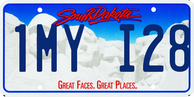 SD license plate 1MYI28
