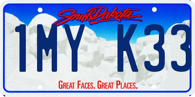 SD license plate 1MYK33