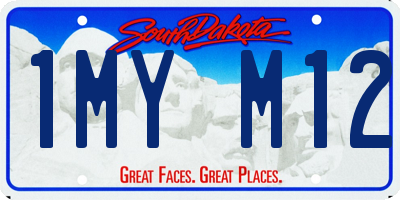 SD license plate 1MYM12
