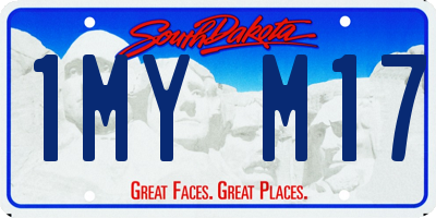 SD license plate 1MYM17