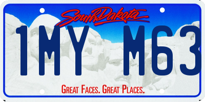 SD license plate 1MYM63
