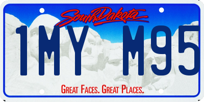 SD license plate 1MYM95
