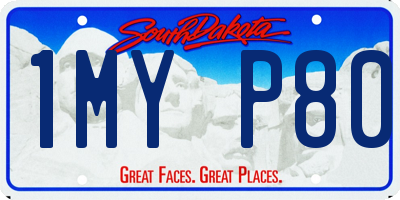 SD license plate 1MYP80