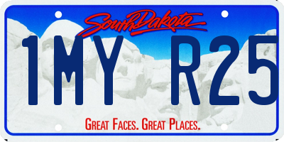 SD license plate 1MYR25