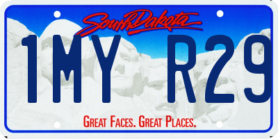 SD license plate 1MYR29
