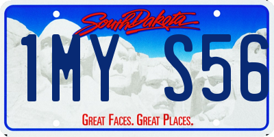 SD license plate 1MYS56