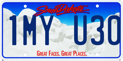 SD license plate 1MYU30