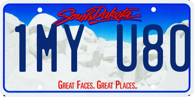 SD license plate 1MYU80