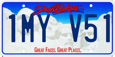 SD license plate 1MYV51