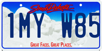 SD license plate 1MYW85