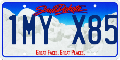 SD license plate 1MYX85