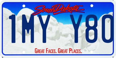 SD license plate 1MYY80
