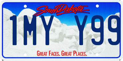 SD license plate 1MYY99