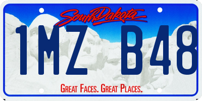 SD license plate 1MZB48