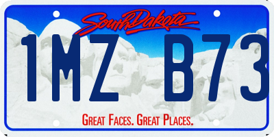 SD license plate 1MZB73