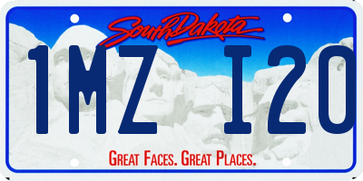 SD license plate 1MZI20