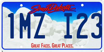 SD license plate 1MZI23