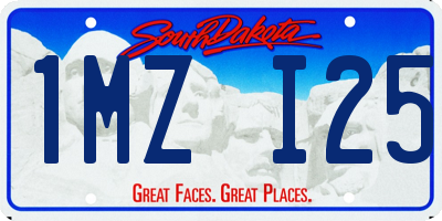 SD license plate 1MZI25