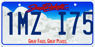 SD license plate 1MZI75