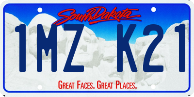 SD license plate 1MZK21