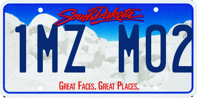 SD license plate 1MZM02