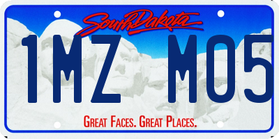 SD license plate 1MZM05