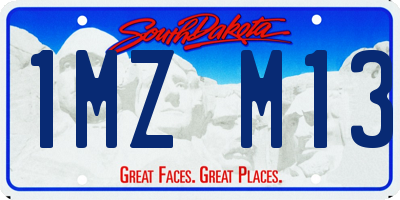 SD license plate 1MZM13