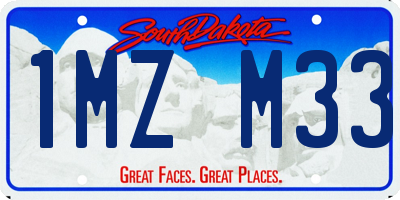 SD license plate 1MZM33