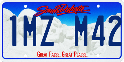 SD license plate 1MZM42