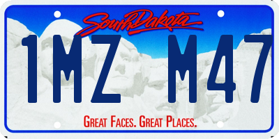SD license plate 1MZM47