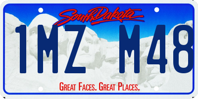 SD license plate 1MZM48