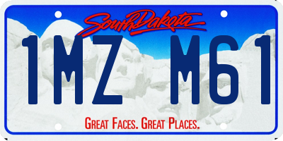 SD license plate 1MZM61
