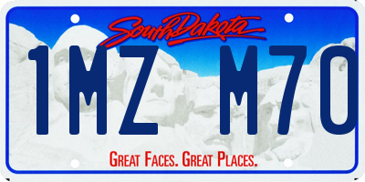 SD license plate 1MZM70
