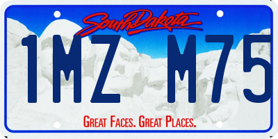 SD license plate 1MZM75