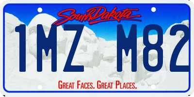 SD license plate 1MZM82