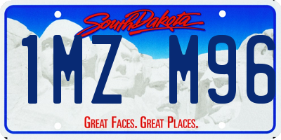 SD license plate 1MZM96