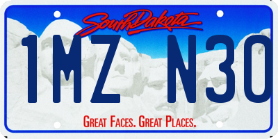 SD license plate 1MZN30