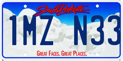 SD license plate 1MZN33