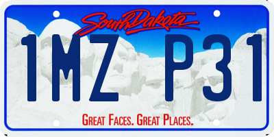 SD license plate 1MZP31