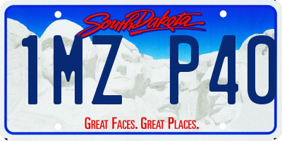 SD license plate 1MZP40