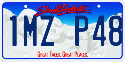 SD license plate 1MZP48
