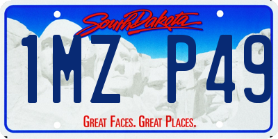 SD license plate 1MZP49