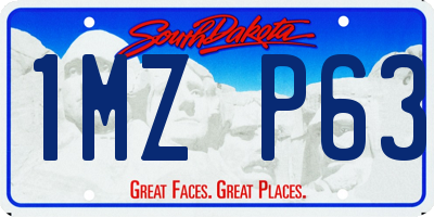 SD license plate 1MZP63