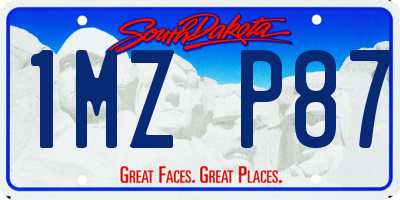 SD license plate 1MZP87