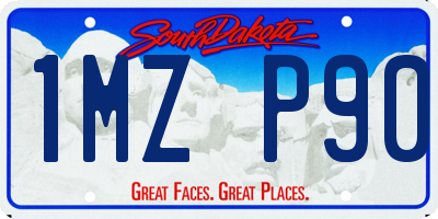 SD license plate 1MZP90