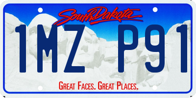 SD license plate 1MZP91