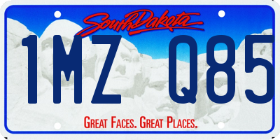 SD license plate 1MZQ85