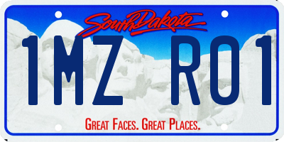 SD license plate 1MZR01