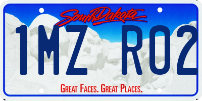 SD license plate 1MZR02